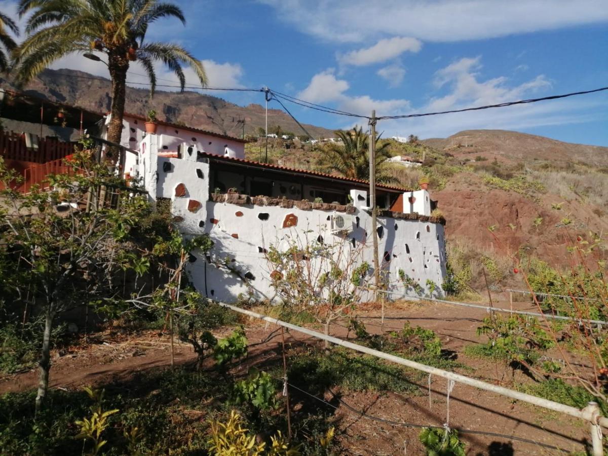 Casa Elea Guest House San Bartolome de Tirajana  Exterior photo